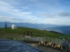 DSC00629